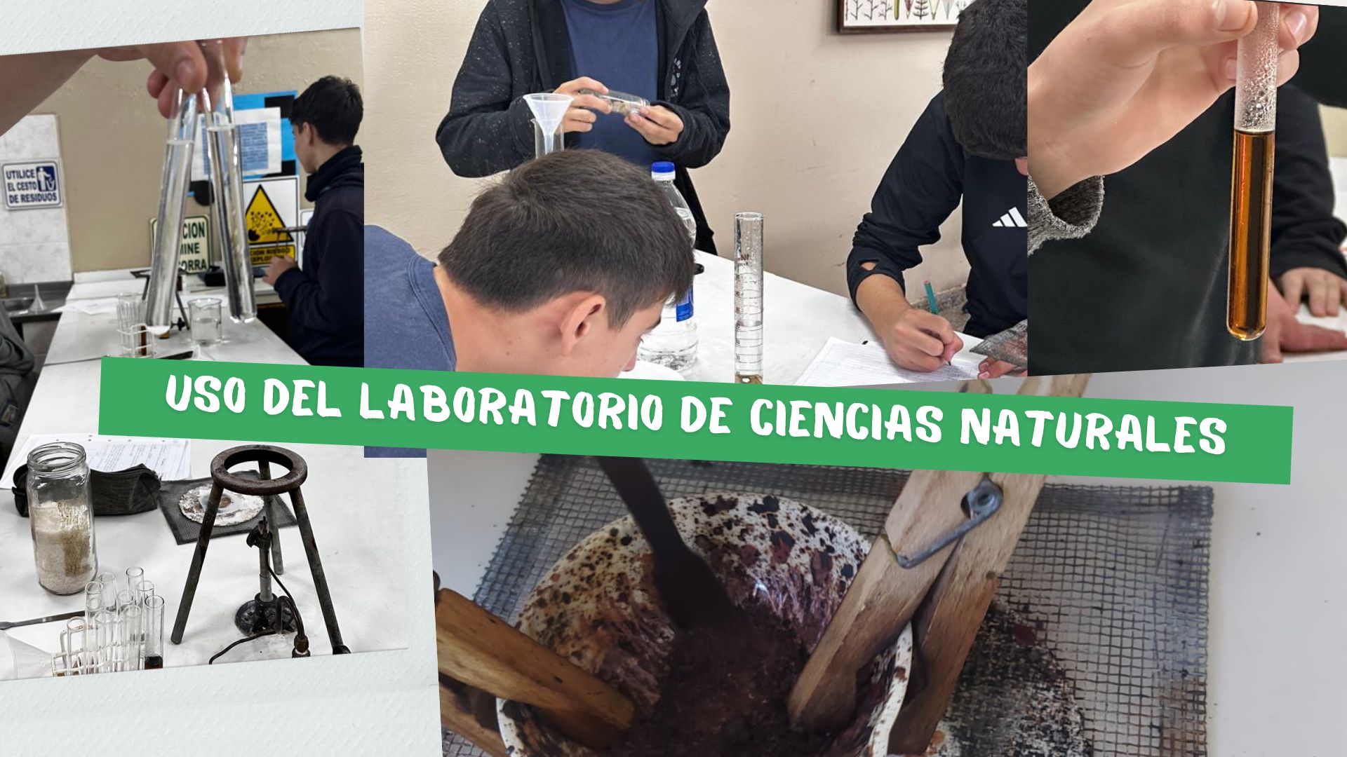 Microscopios y observación